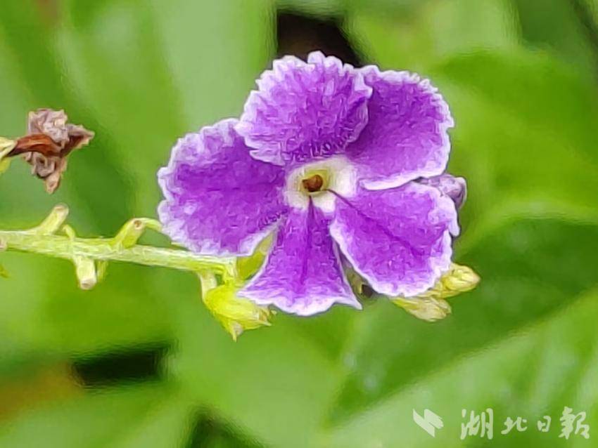 奇亿娱乐平台登录入口